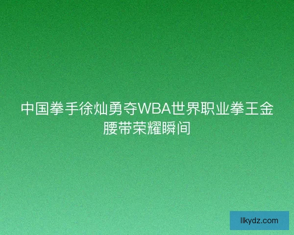 中国拳手徐灿勇夺WBA世界职业拳王金腰带荣耀瞬间