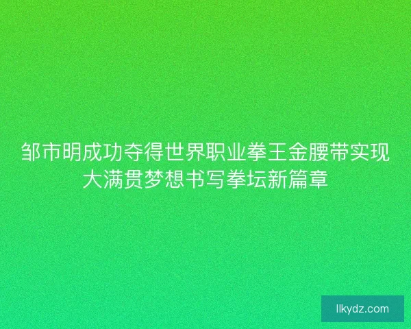 邹市明成功夺得世界职业拳王金腰带实现大满贯梦想书写拳坛新篇章